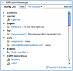 The Buddy List for my custom aim widget